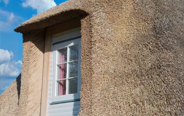 Pittville thatch roof disadvantages